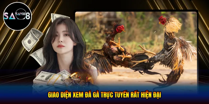 Giao diện xem đá gà trực tuyến rất hiện đại